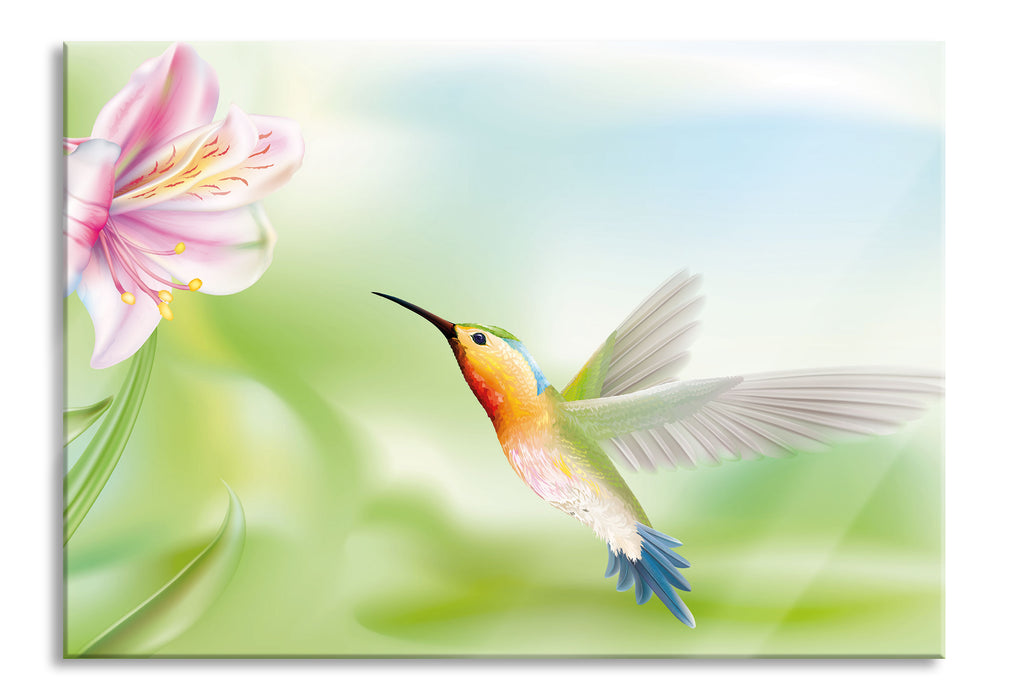 Wunderschöner Kolibri mit Blüte, Glasbild