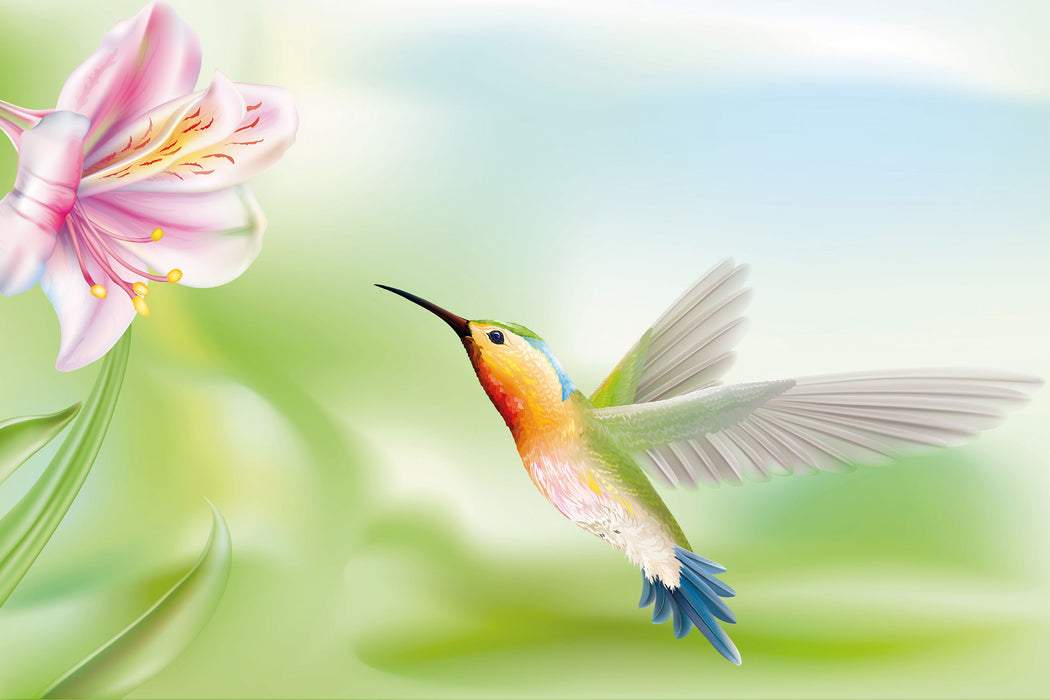 Wunderschöner Kolibri mit Blüte, Glasbild