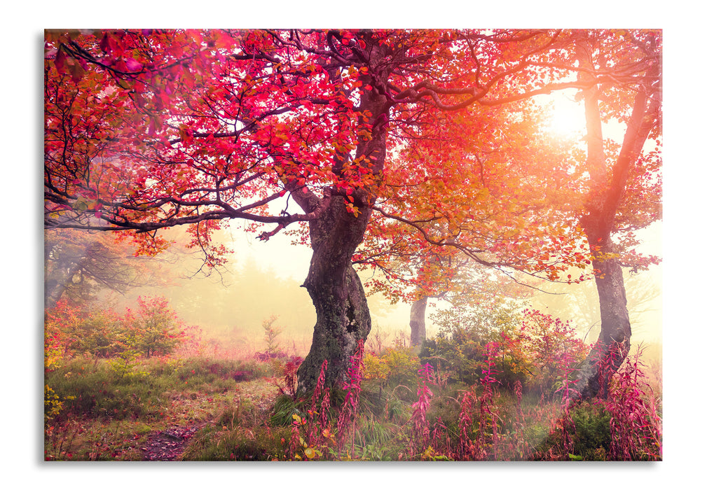 Traumhafte Herbstlandschaft, Glasbild