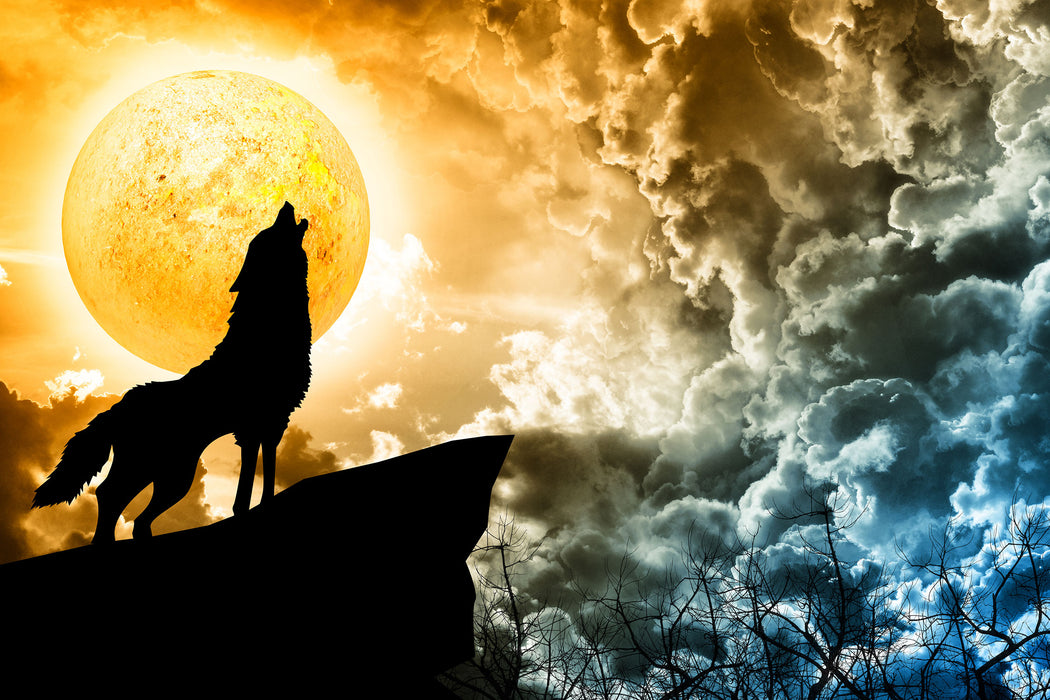 Wolf heult den Mond an, Glasbild