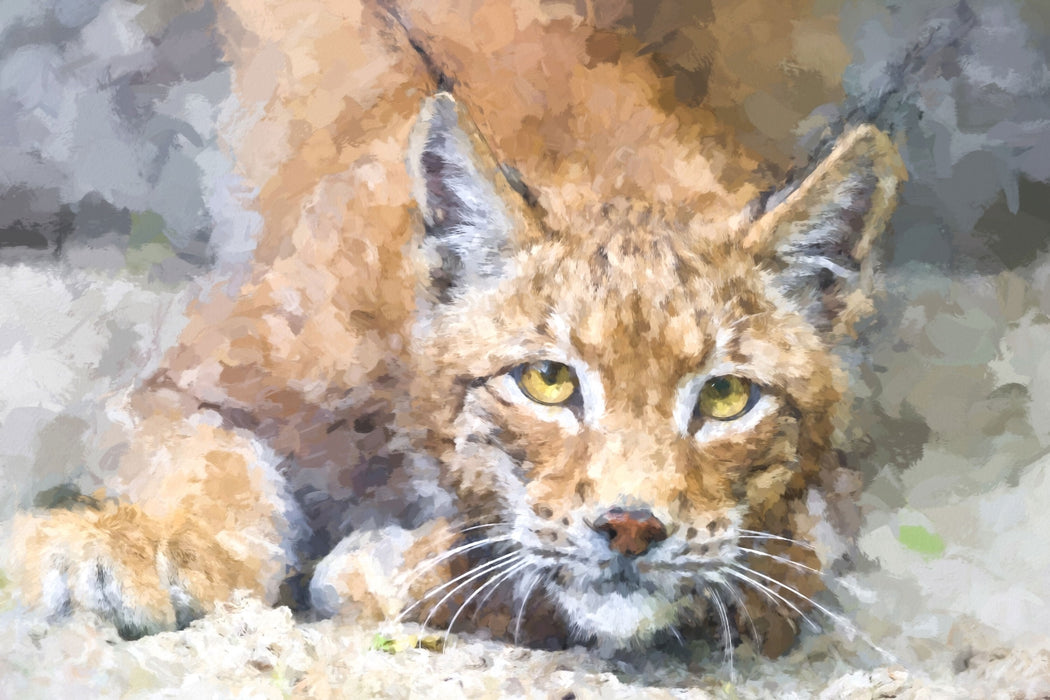 wachsamer Luchs, Glasbild