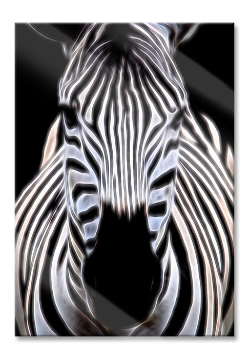 Zebra Porträt, Glasbild