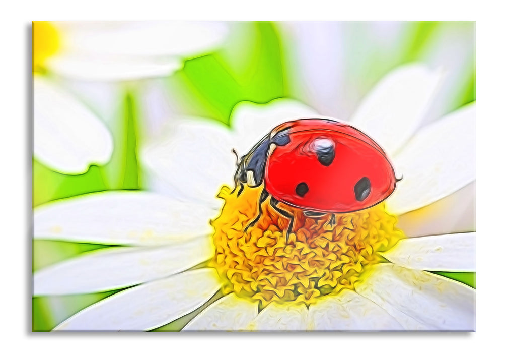 Marienkäfer auf Gänseblümchen, Glasbild