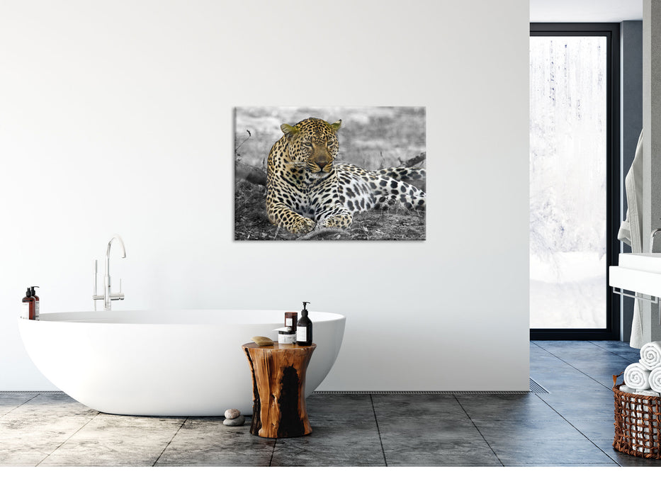 schöner Leopard liegt im Laub, Glasbild