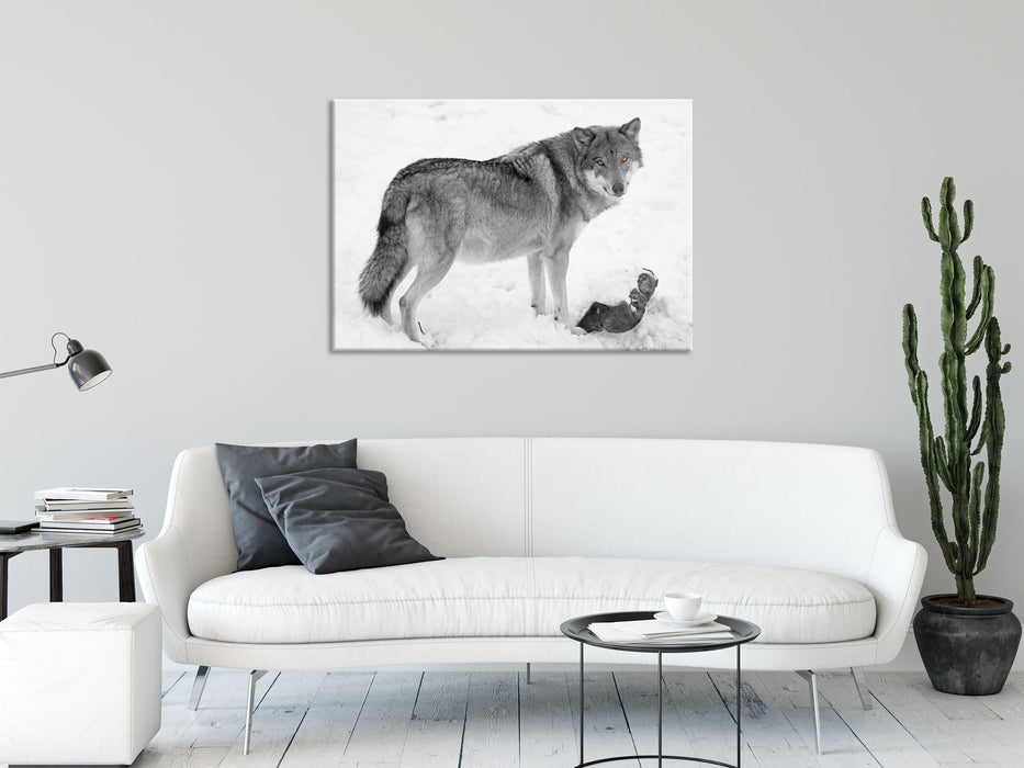 prächtiger Wolf im Schnee, Glasbild