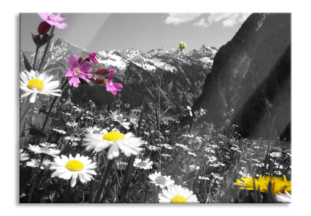 Alpenblumen, Glasbild