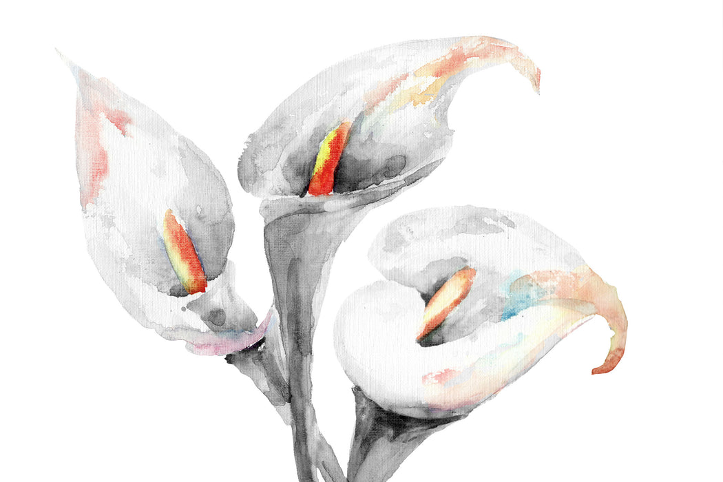 Callas Aquarellblüten, Glasbild