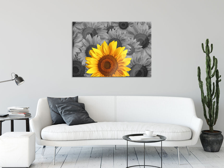 schöne Sonnenblumen, Glasbild