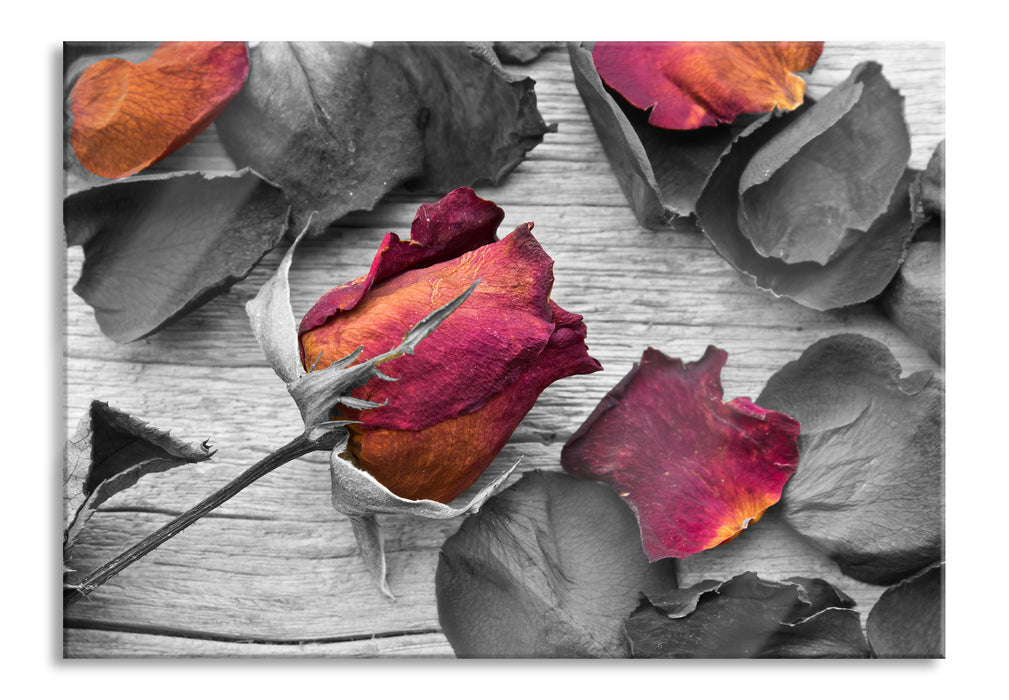 getrocknete Rosen auf Holztisch, Glasbild