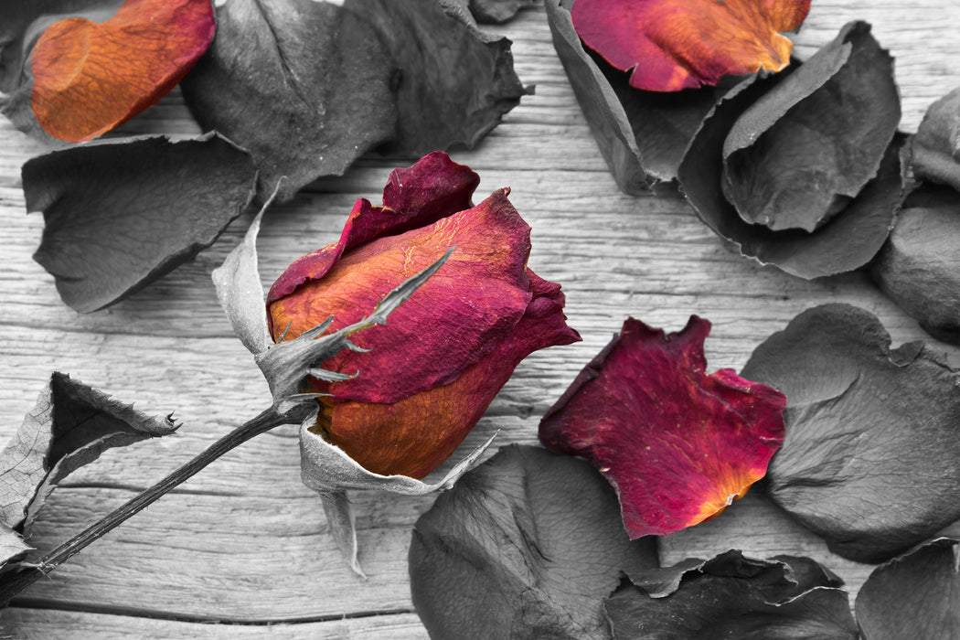 getrocknete Rosen auf Holztisch, Glasbild