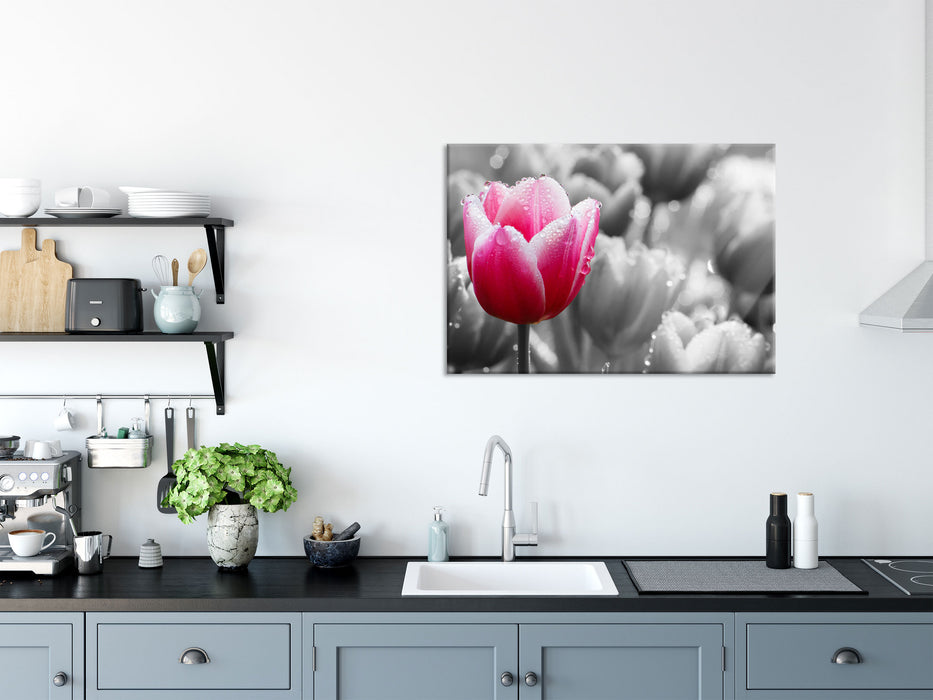 Tulpen im Morgentau, Glasbild