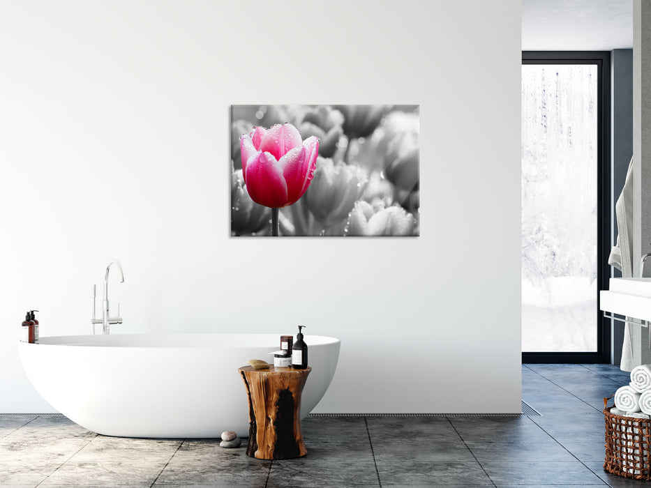 Tulpen im Morgentau, Glasbild