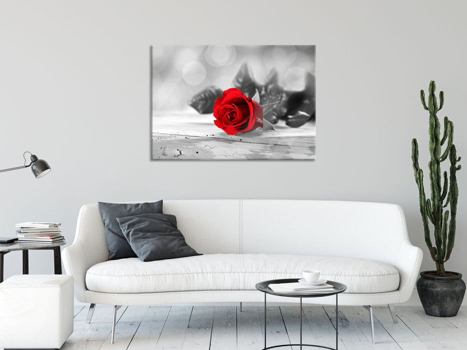 Rose auf Holztisch, Glasbild