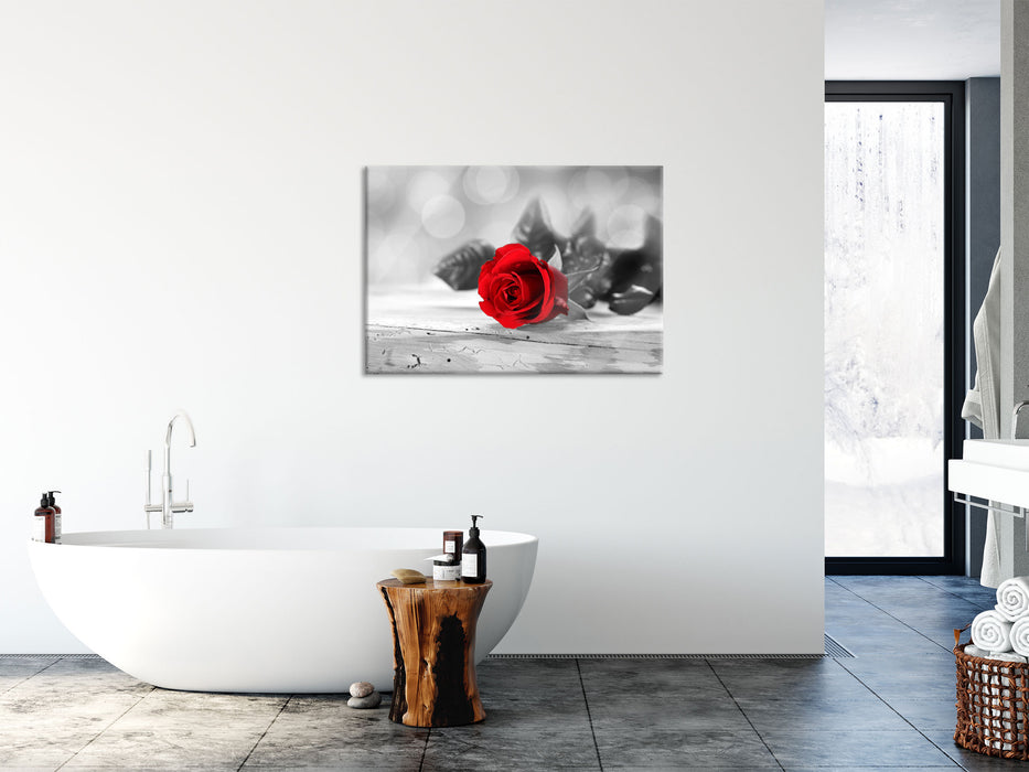 Rose auf Holztisch, Glasbild