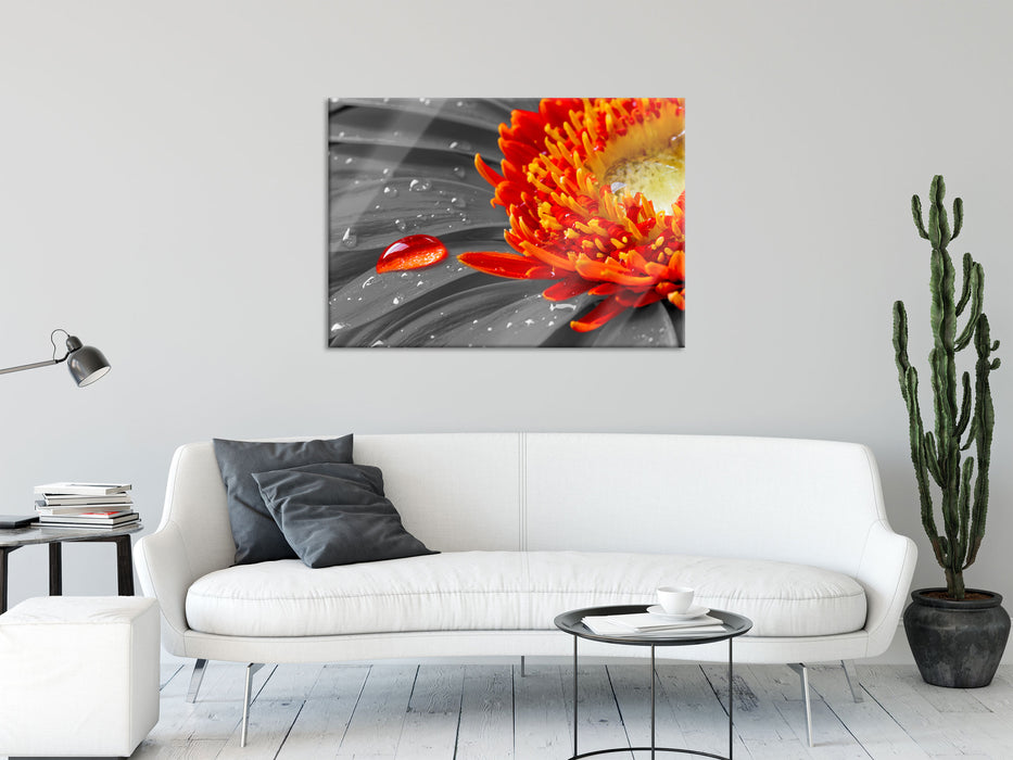 Wassertropfen auf Gerbera, Glasbild