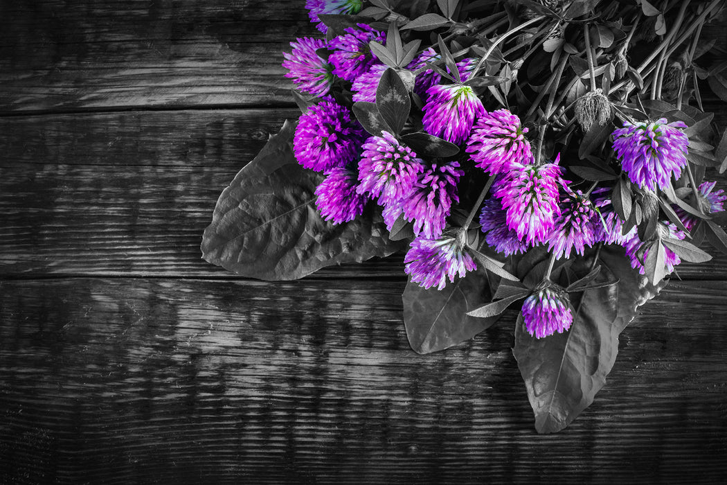 schöne Kleeblüten auf Holztisch, Glasbild