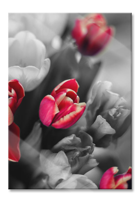 Pixxprint schöner Tulpenstrauß, Glasbild