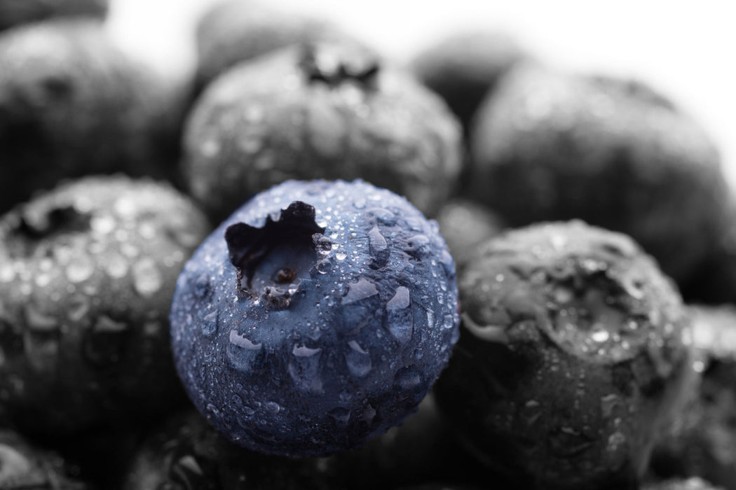 Heidelbeeren mit Tropfen, Glasbild