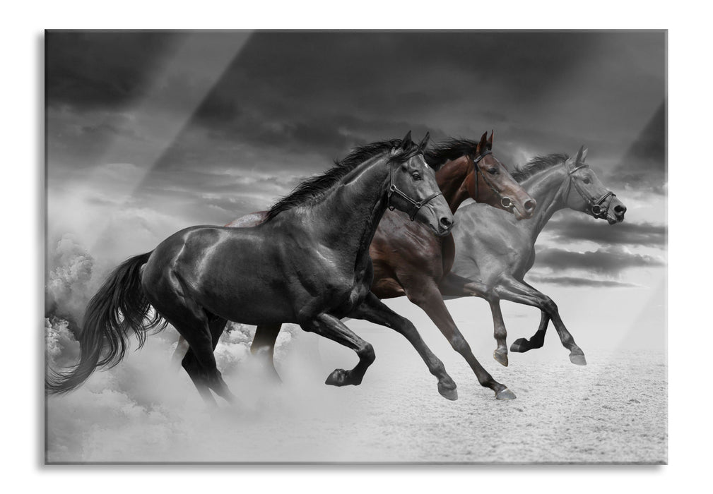 Pixxprint Westernpferde im Sand, Glasbild