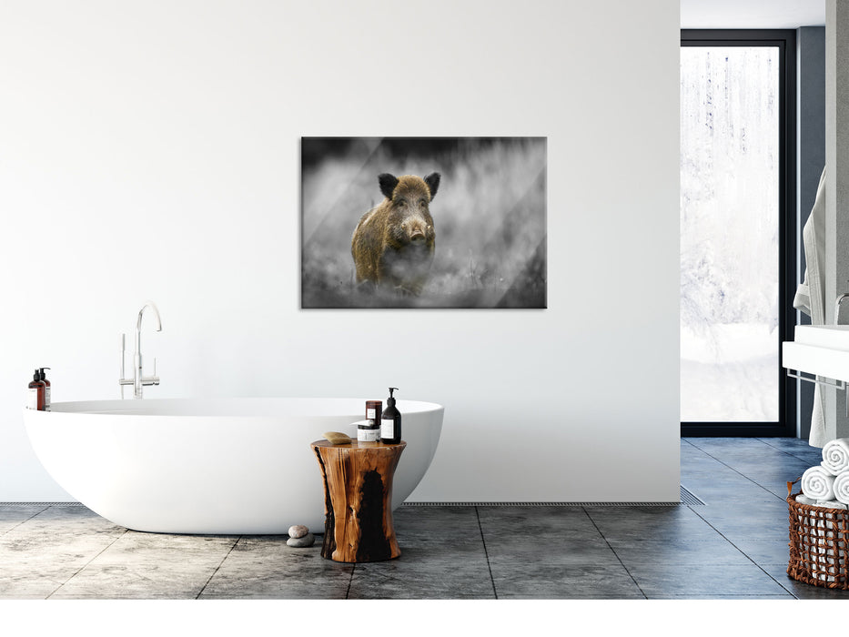 einsames Wildschwein im Wald, Glasbild