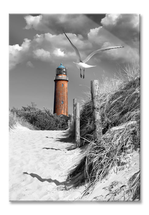 Leuchtturm mit Möwe an Strandweg, Glasbild