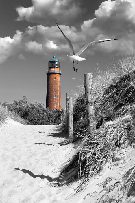 Leuchtturm mit Möwe an Strandweg, Glasbild