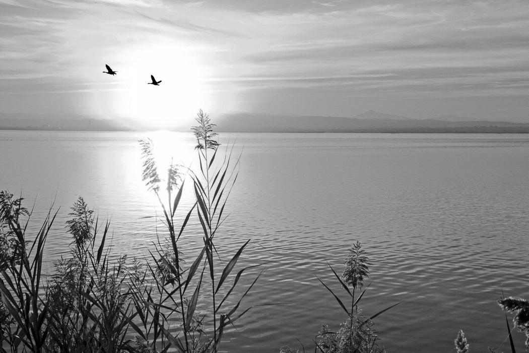 Sonnenuntergang am See, Glasbild