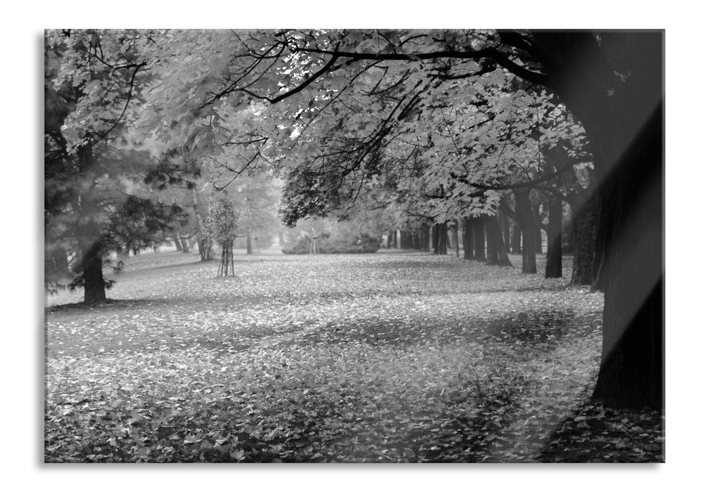 schöner Park im Herbst, Glasbild