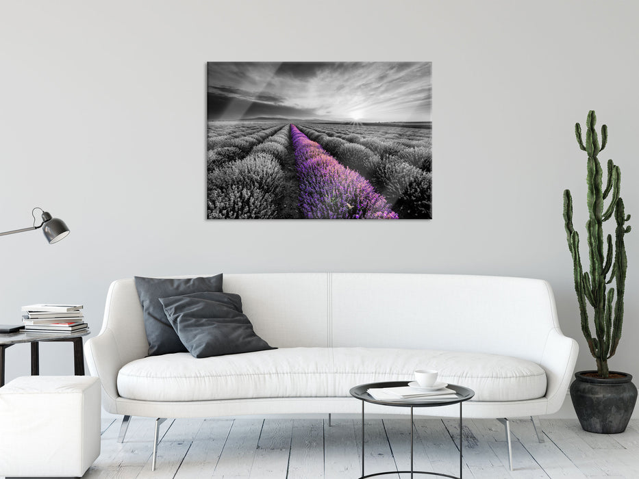 Lavendelfeld in der Provence, Glasbild