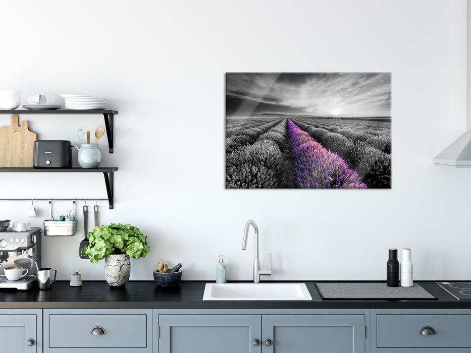 Lavendelfeld in der Provence, Glasbild
