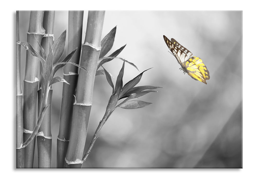 Pixxprint schöner Schmetterling vor Bambus, Glasbild