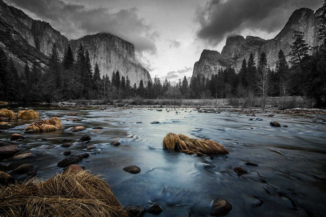 seichter Fluss im Wald, Glasbild