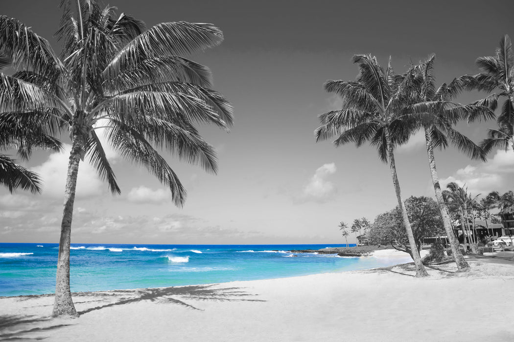 schöner Strand mit Palmen, Glasbild