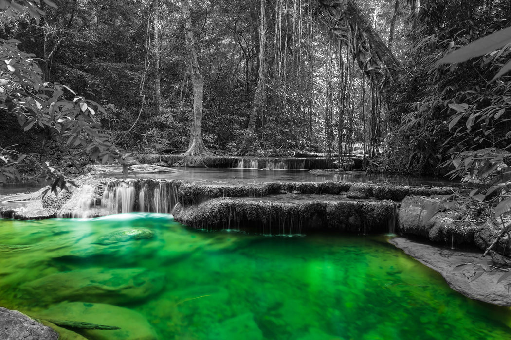 wunderschöner tropischer Fluss, Glasbild