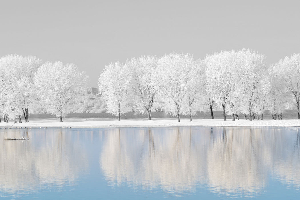 schneebedeckte Bäume an einem See, Glasbild