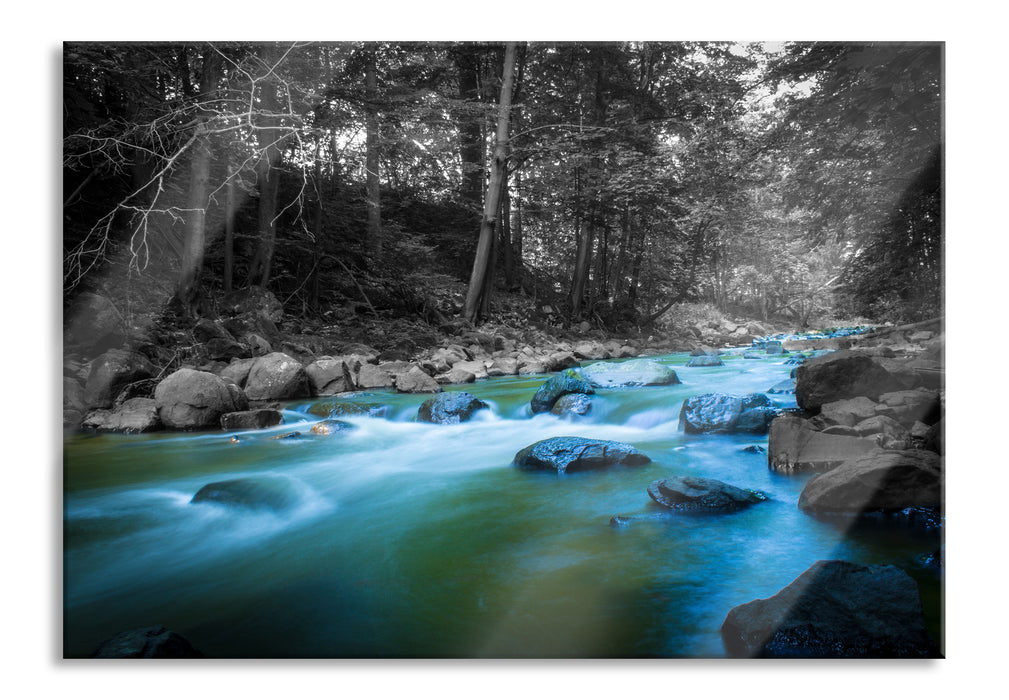 Fluss im Wald mit Steinen, Glasbild