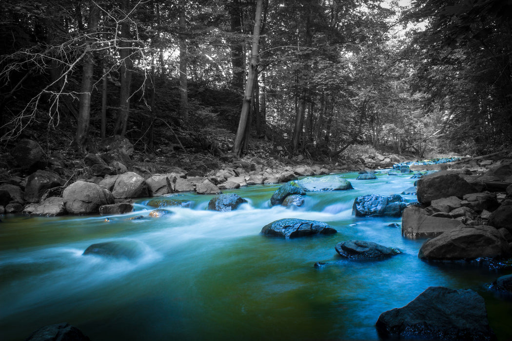 Fluss im Wald mit Steinen, Glasbild