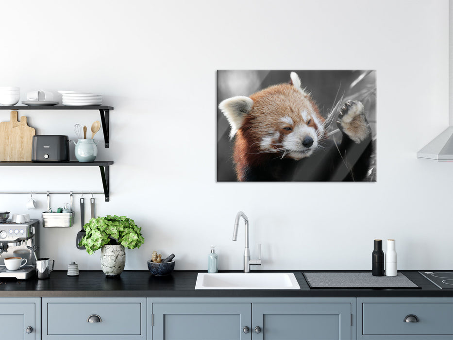 süßer Panda sagt Hallo, Glasbild