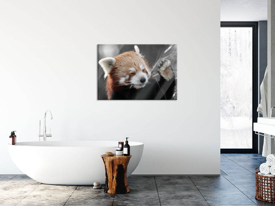 süßer Panda sagt Hallo, Glasbild