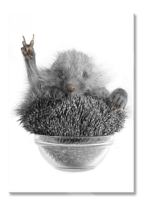 Igel in einer Schüssel, Glasbild