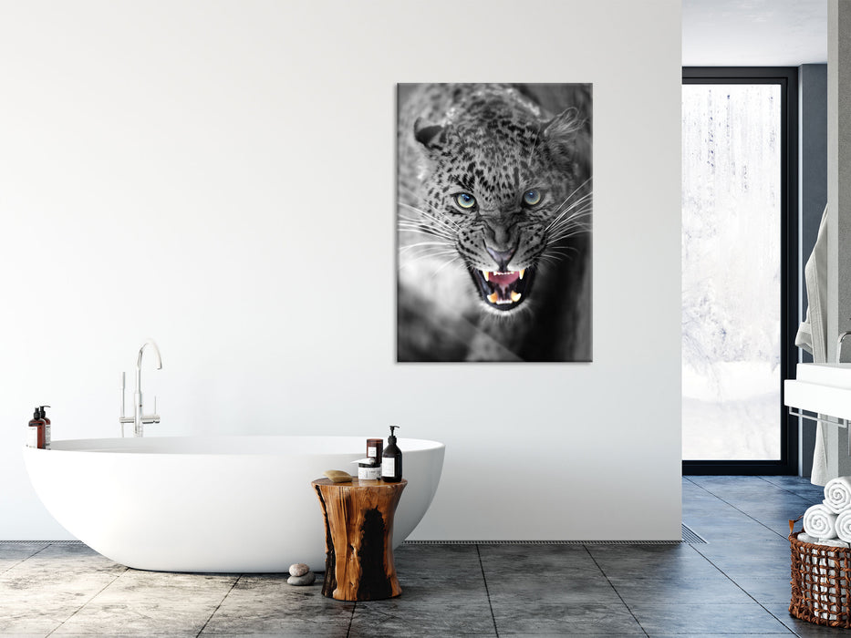 schöner fauchender Leopard, Glasbild