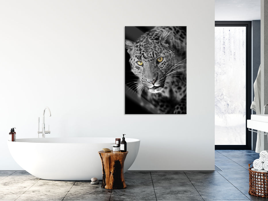 prächtig anmutiger Leopard, Glasbild