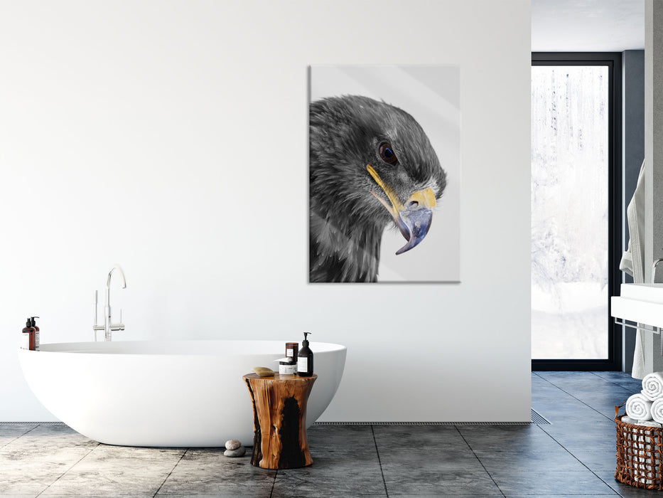 wunderschöner Adler im Portrait, Glasbild