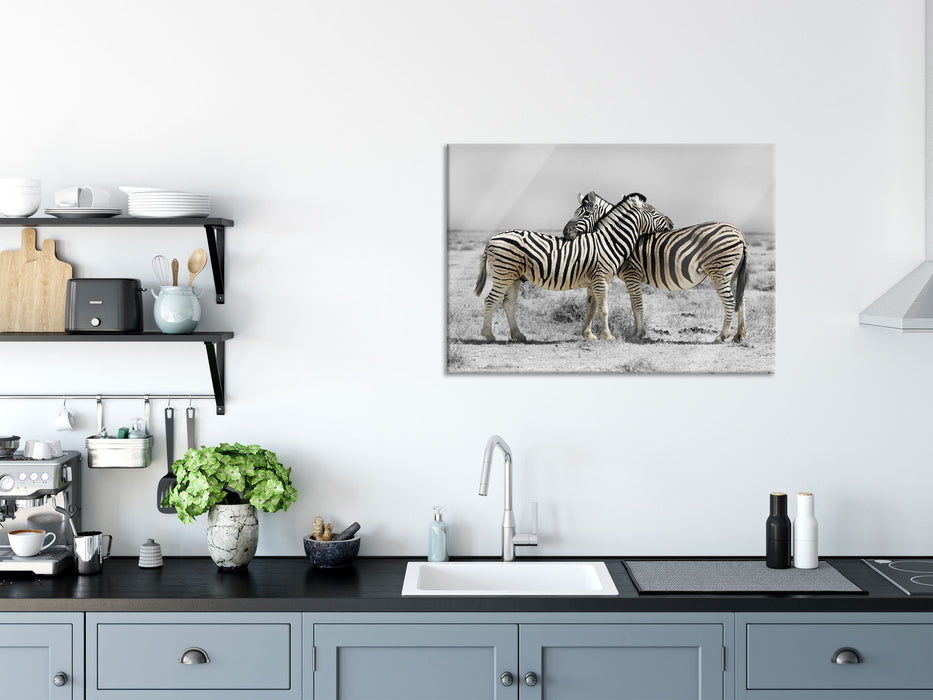 Zebras in der Savanne, Glasbild