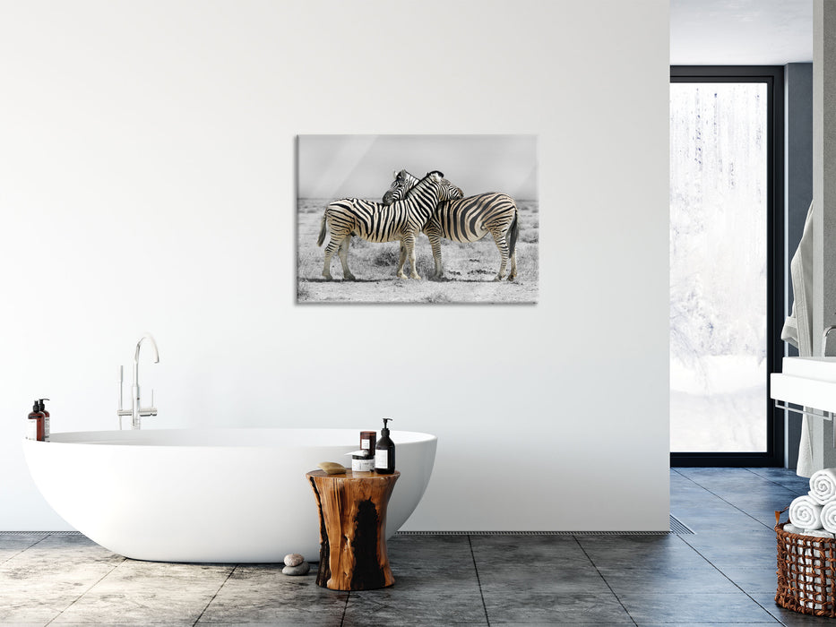 Zebras in der Savanne, Glasbild