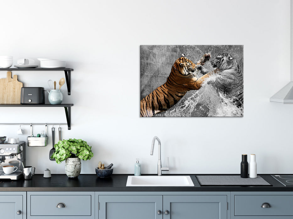 prachtvolle Tiger kämpfen, Glasbild