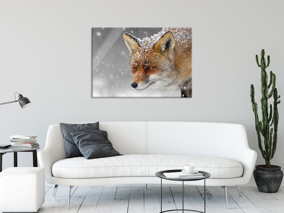 wunderschöner Fuchs im Schnee, Glasbild