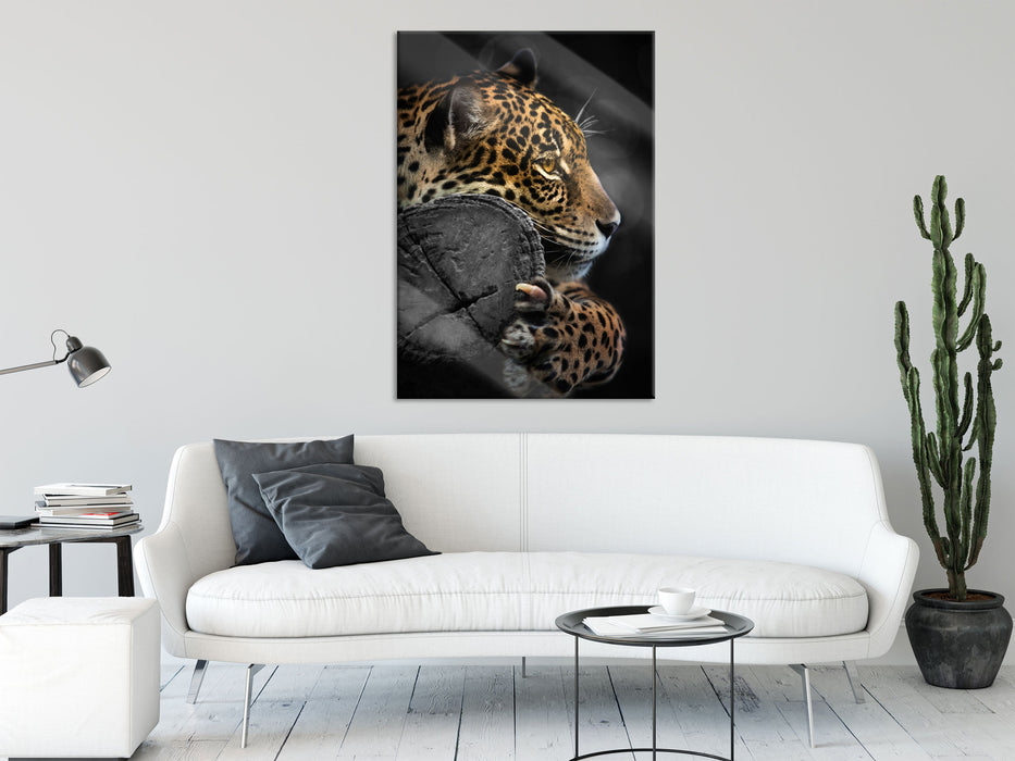 prächtiger Leopard auf Stamm, Glasbild