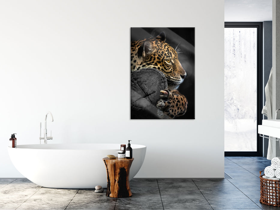 prächtiger Leopard auf Stamm, Glasbild