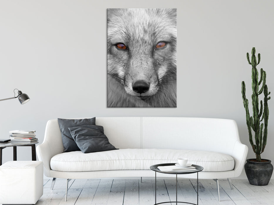 wunderschöner Fuchs im Portrait, Glasbild